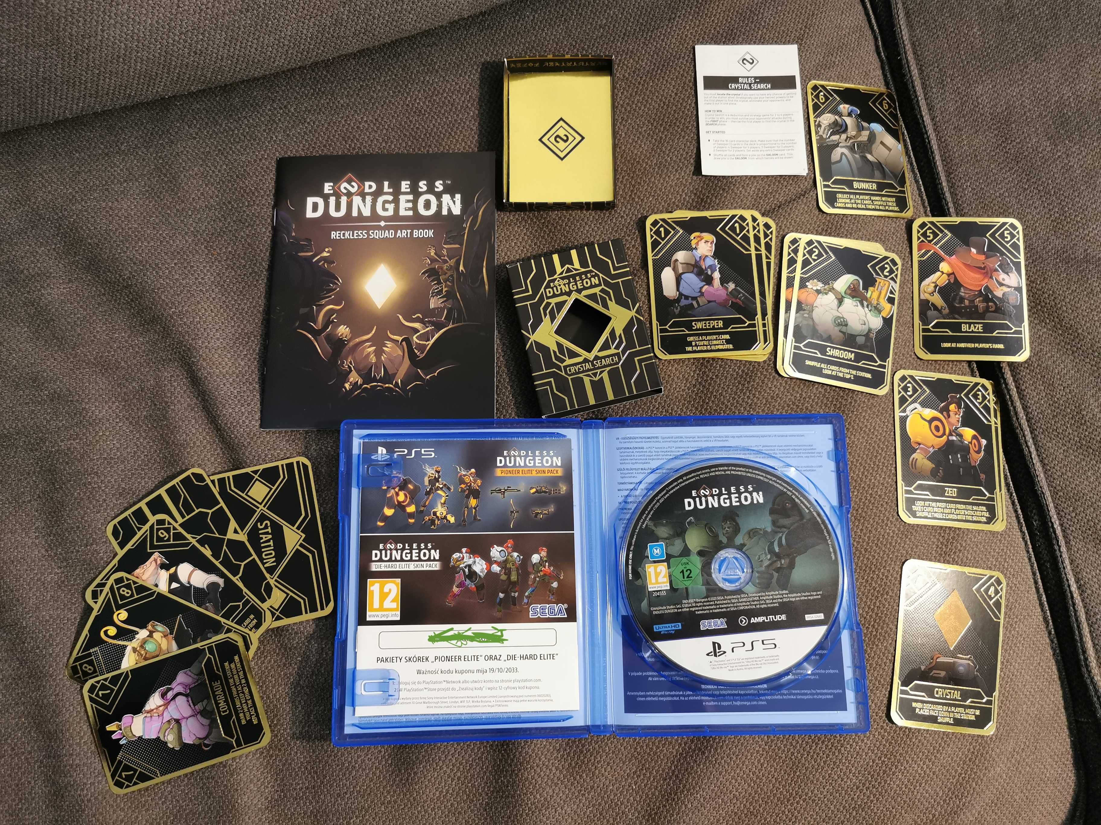 Endless Dungeon Day One Edition | karty + artbook + skórki | PS5