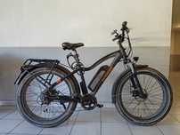 Bicicleta elétrica - RAD POWER "Fatbike"