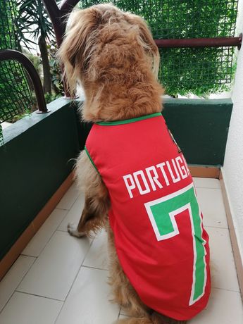 Camisola cão Portugal!!!