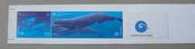 1998 – Carteira Nº112 – O mar dos Açores