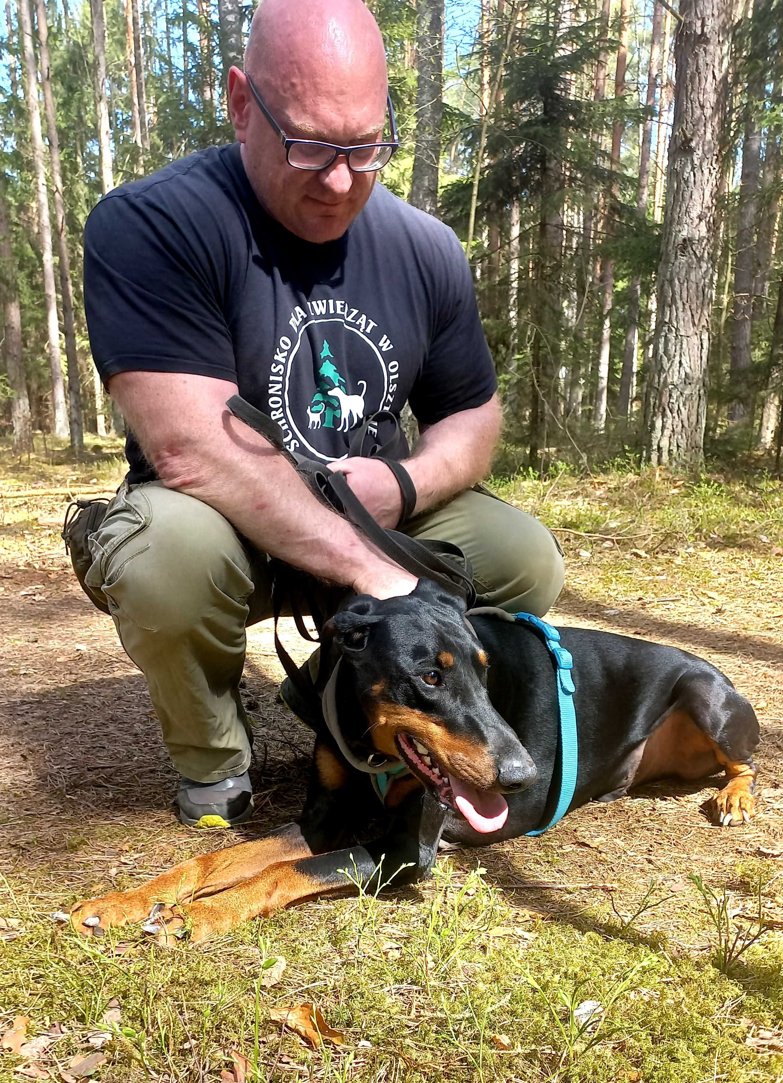 Unter - przyjazny doberman do ludzi, ale nie do innych psów