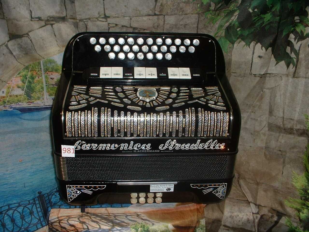 Concertina Avenda R, .981