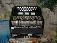 Concertina Avenda R, .981