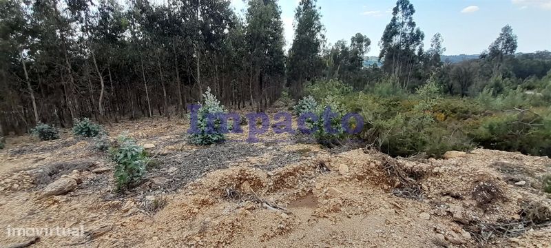 Terreno rústico em Milheirós de Poiares, Santa Maria da Feira