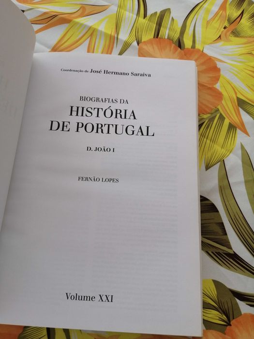 Crónica de El Rei D. João I de boa memória