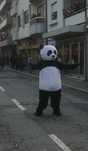 Panda / Mickey / Cão - mascotes de adulto