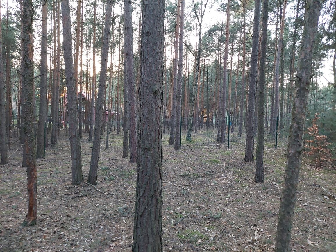 Działka 1018m2 Kębliny taniej niż ROD
