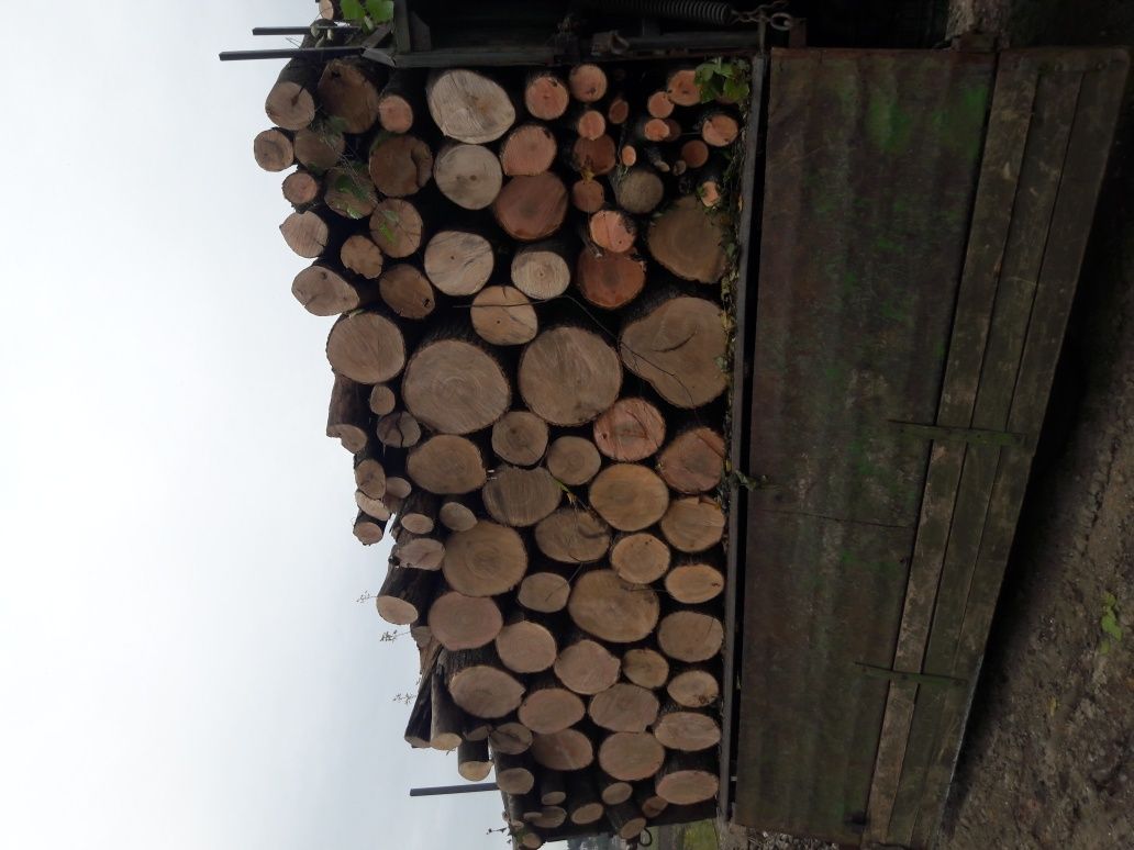 Продам метрові  дрова твердих порід.НА ПОВІДОМЛЕННЯ НЕ ВІДПОВІДАЮ.