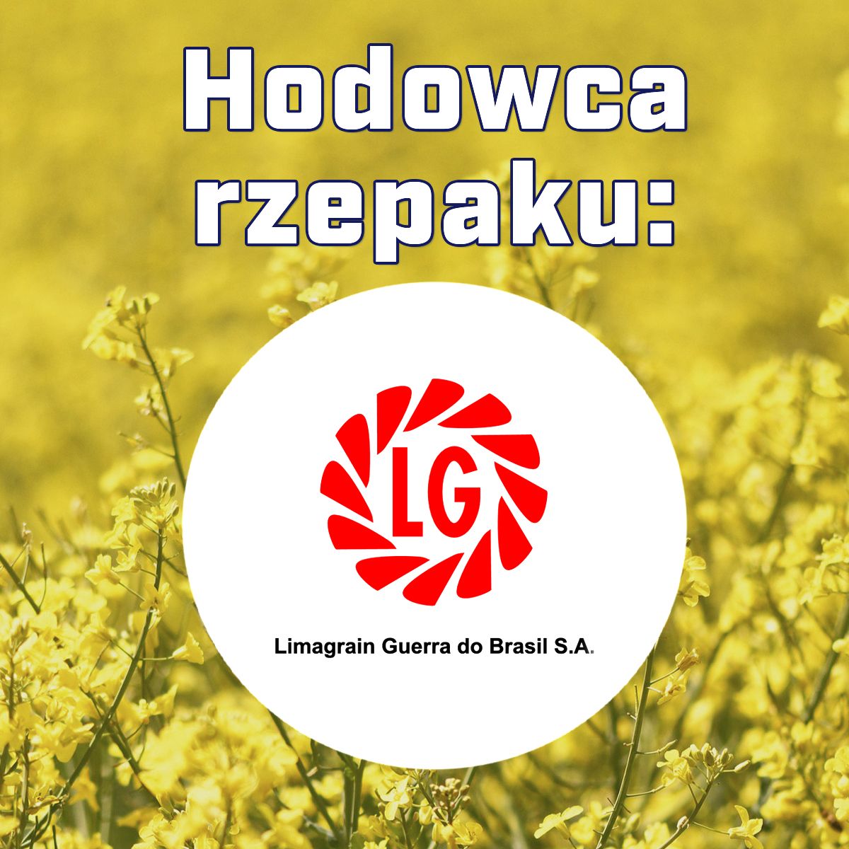 Rzepak ozimy LG Armada F1 C1, opak. 1,5 mln.n. Integral Pro i Lumiposa