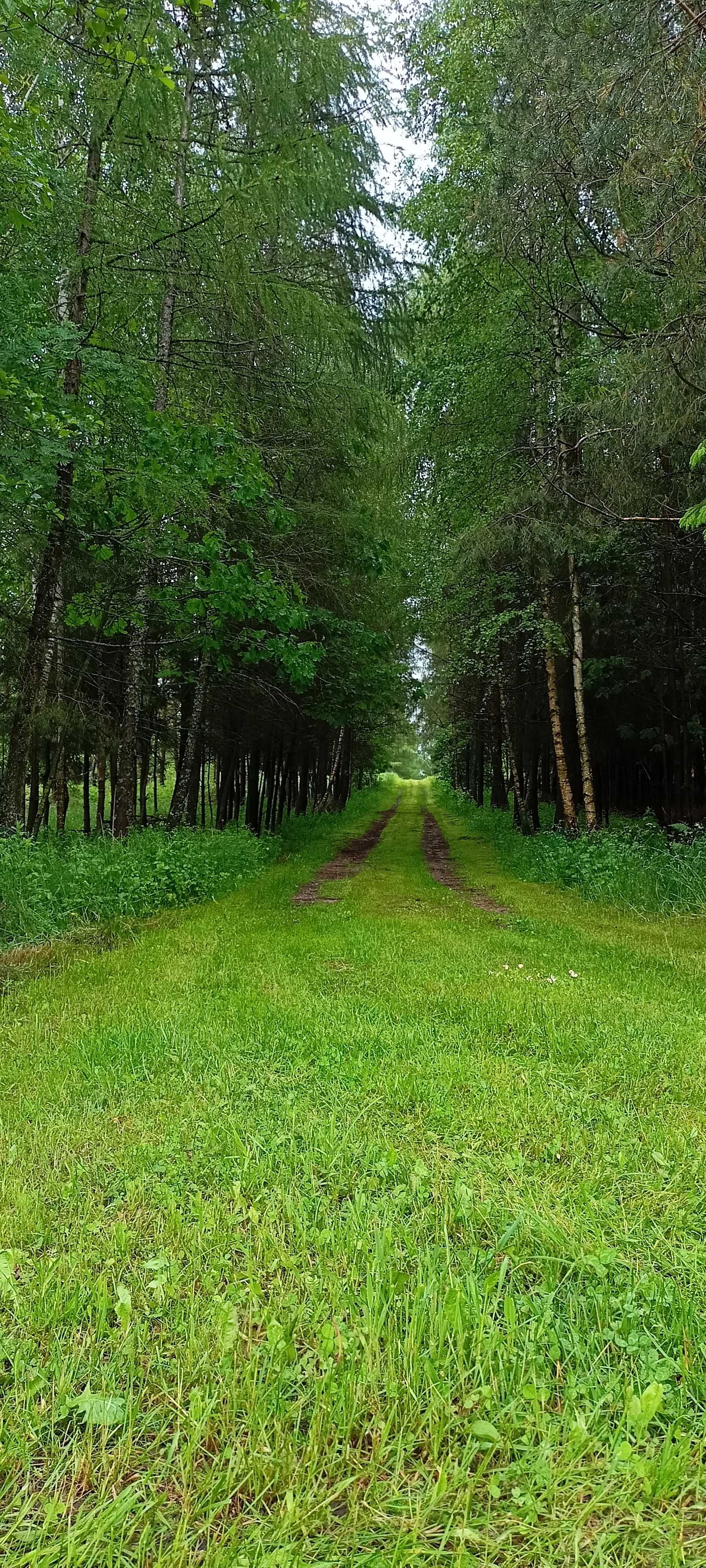 Działka budowlana nad jeziorem, Dolina Rospudy, Filipów, Mazury