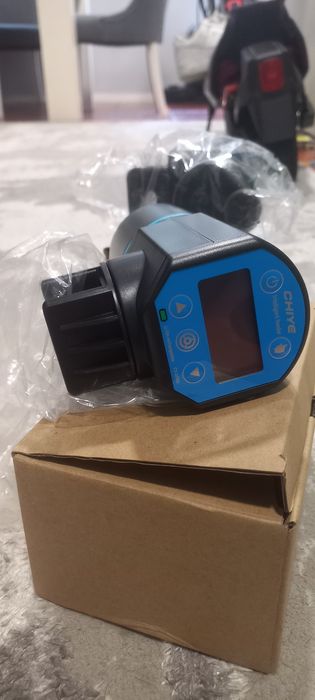 ciclídeo polar azul papagaio,