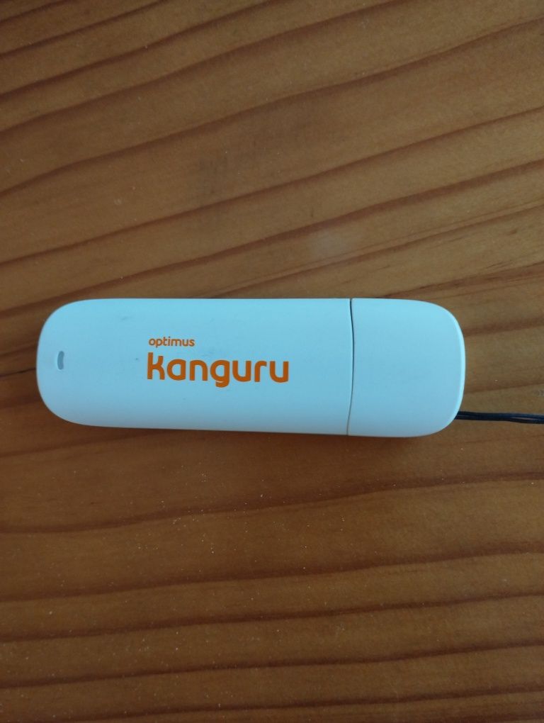 Pen Internet Kanguru