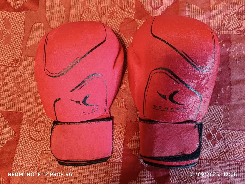 Pack de luvas de box com embalagem, banda de protecção e protectores