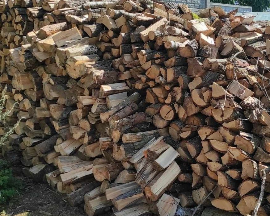 Drzewo drewno kominkowe dąb