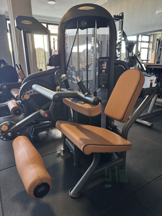 Leg curl sentada Matrix G 3