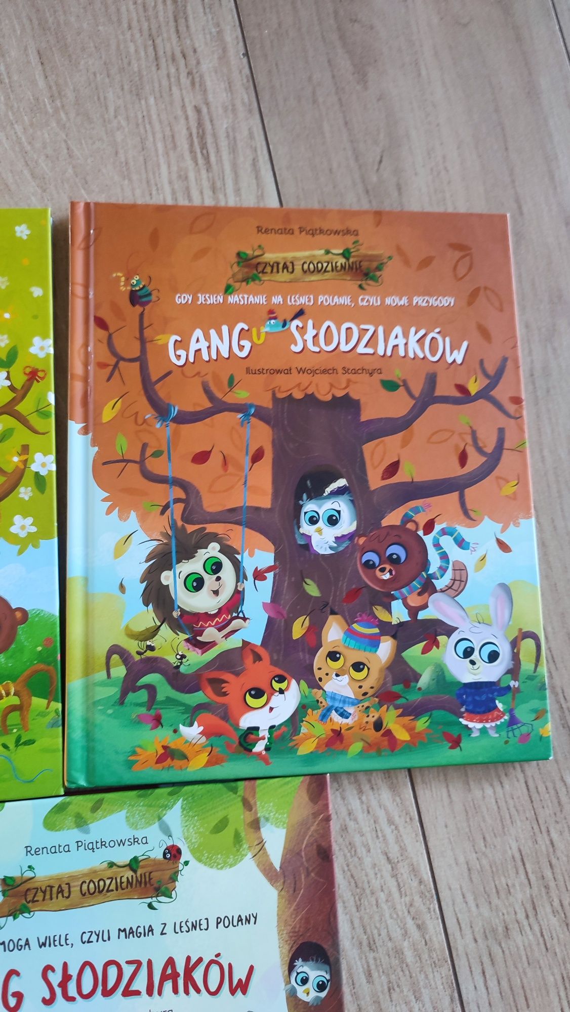 Książka książki Gang słodziaków Biedronka
