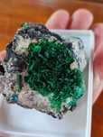 Minerały do kolekcji uranowe torbernit Kongo. U