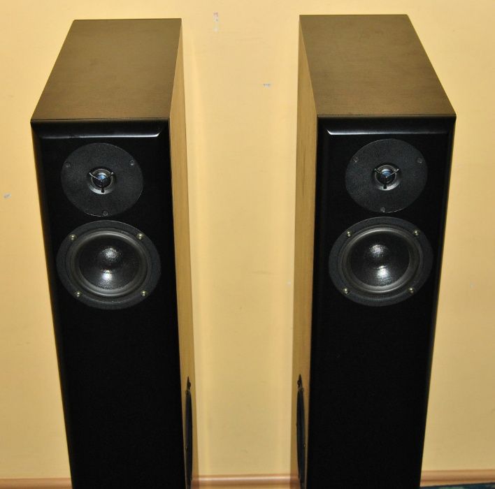 Audio Physic Virgo II