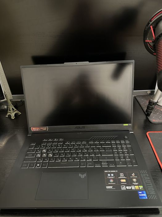 Продам свой игровой ноутбук ASUS TUF Gaming F17 FX707VI-LL053