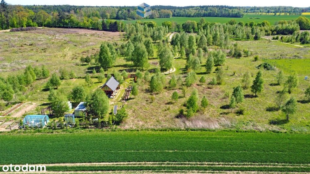 Ostrowin-działki przy lesie nieopodal jeziora.