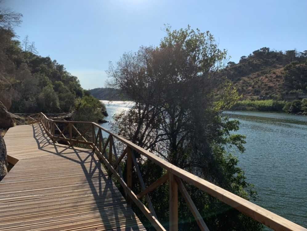 Terreno rústico idílico em Belver, rio Tejo e praia fluvial