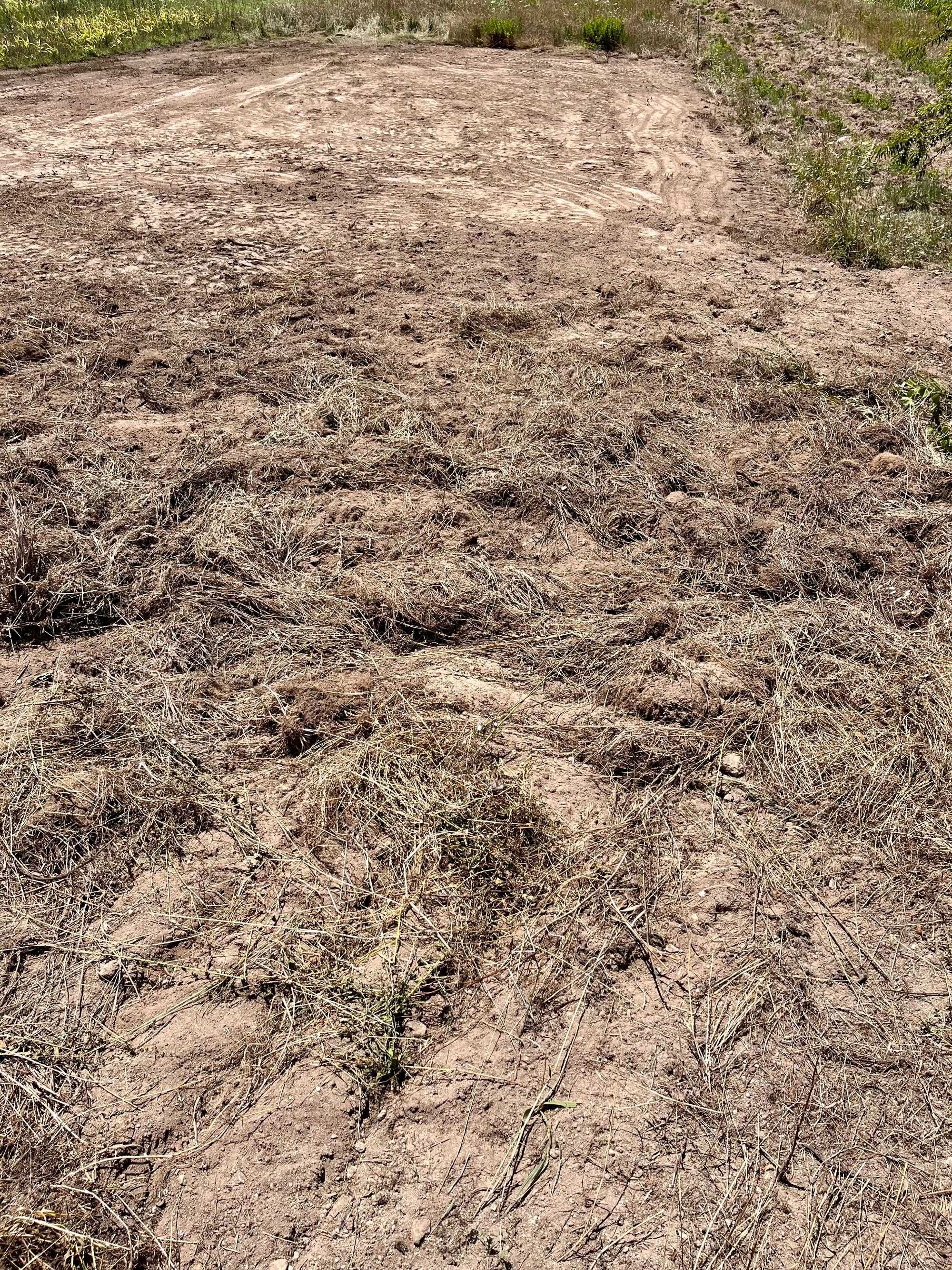 Terreno para Construção c/ Projecto em fase de execução