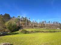Terreno Rustico Joane