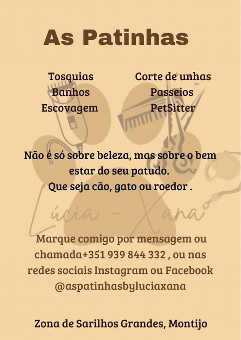 Dog Walking - passeios de cães