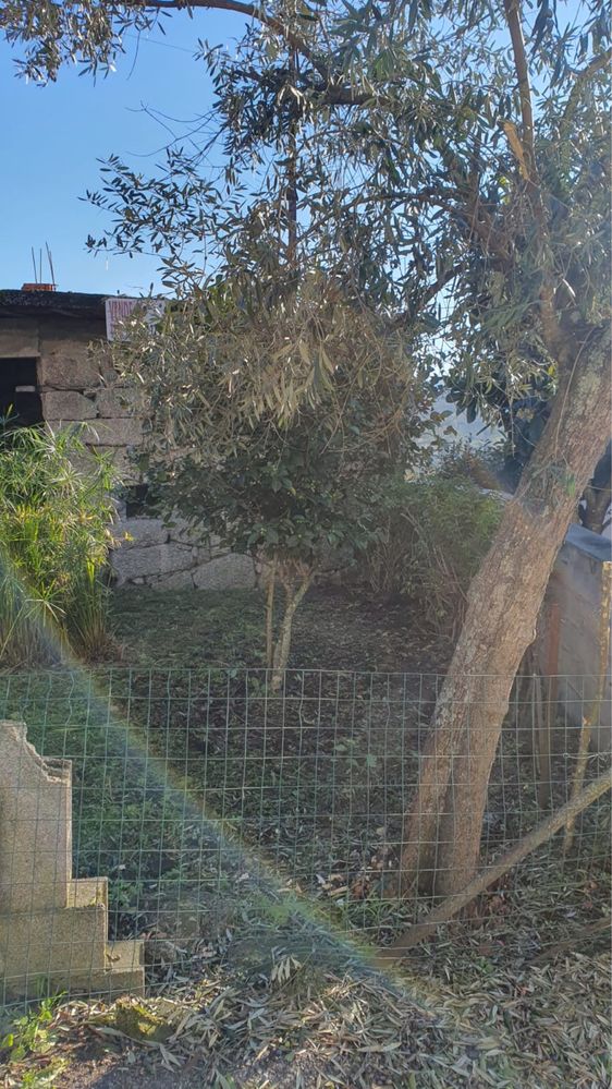 Terreno para construção com projeto aprovado