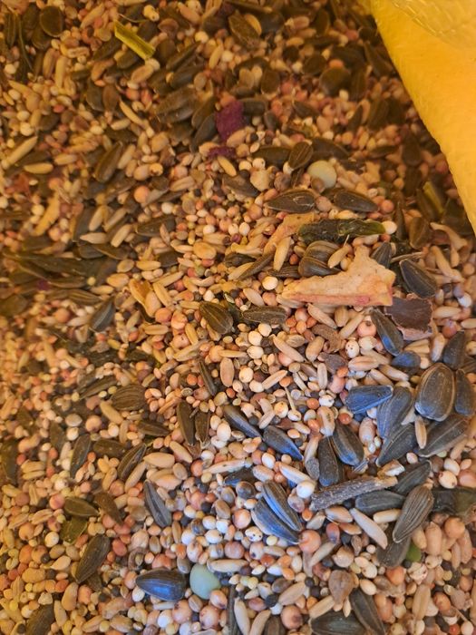 ziarno mix,mieszanka 2zł/kg , 25kg za 50 zł,ptaki,kury,pawie