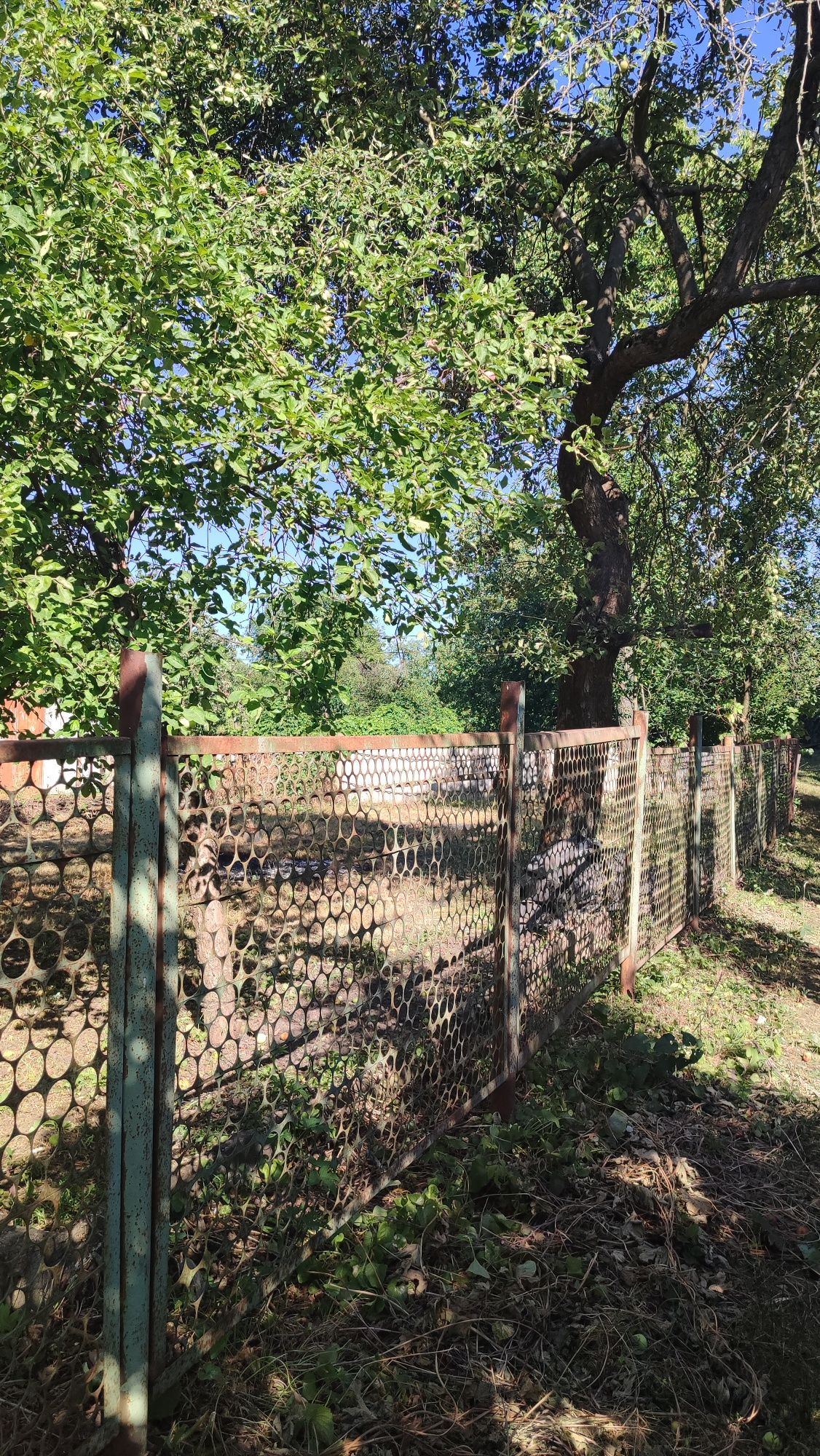 Продам дачу_СТ. Урожай Писецкого