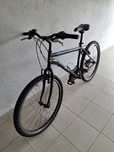 Bicicleta de adulto