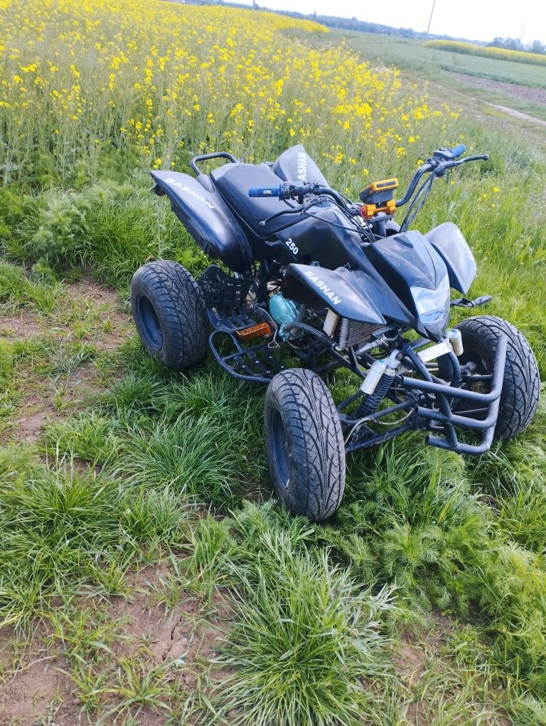 Sprzedam Bashan 250