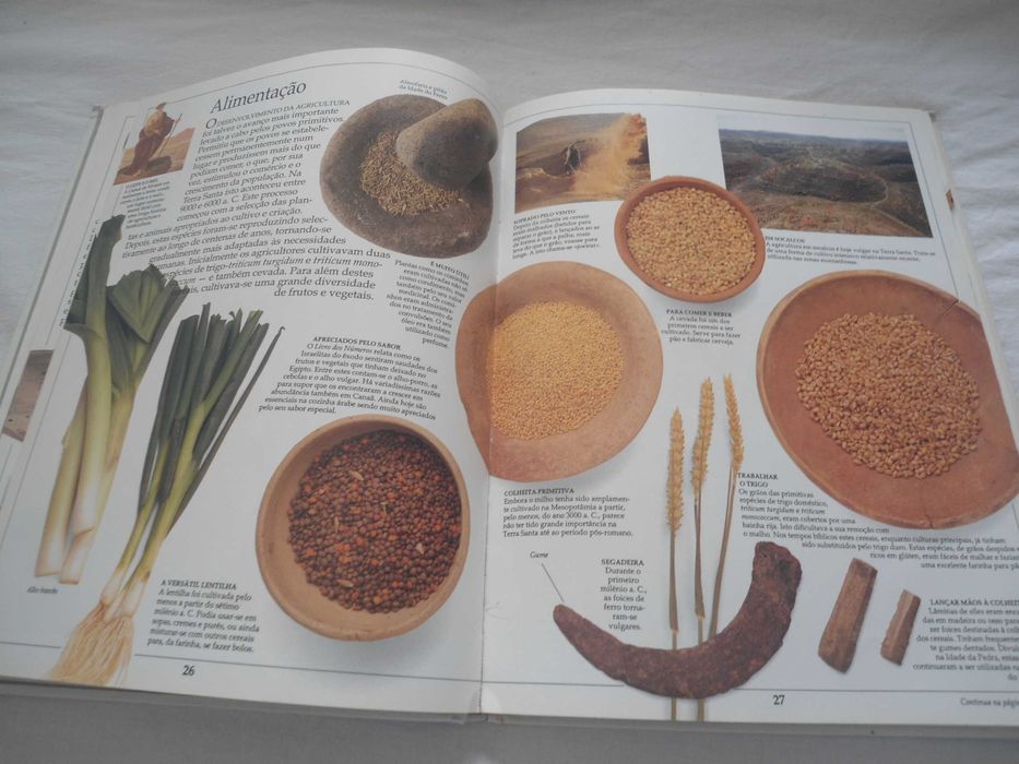 Terras da Bíblia (nº 24) Enciclopédia Visual da Verbo