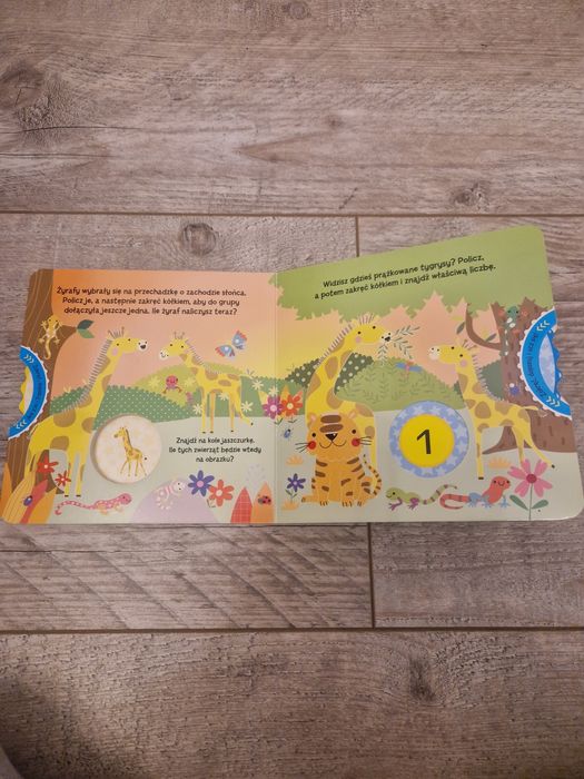 Książeczka Jaka to liczba?