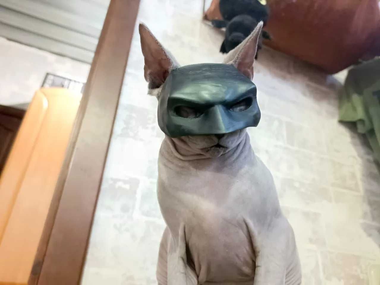 Maska dla kota Batman Bat-Cat Przebranie Strój Halloween TikTok Viral