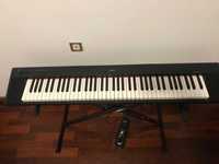 Piano Piaggero NP 32