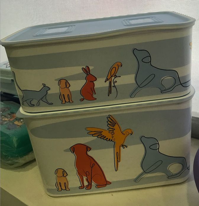2 Caixas Animais 2.9L + 4.6L Tupperware