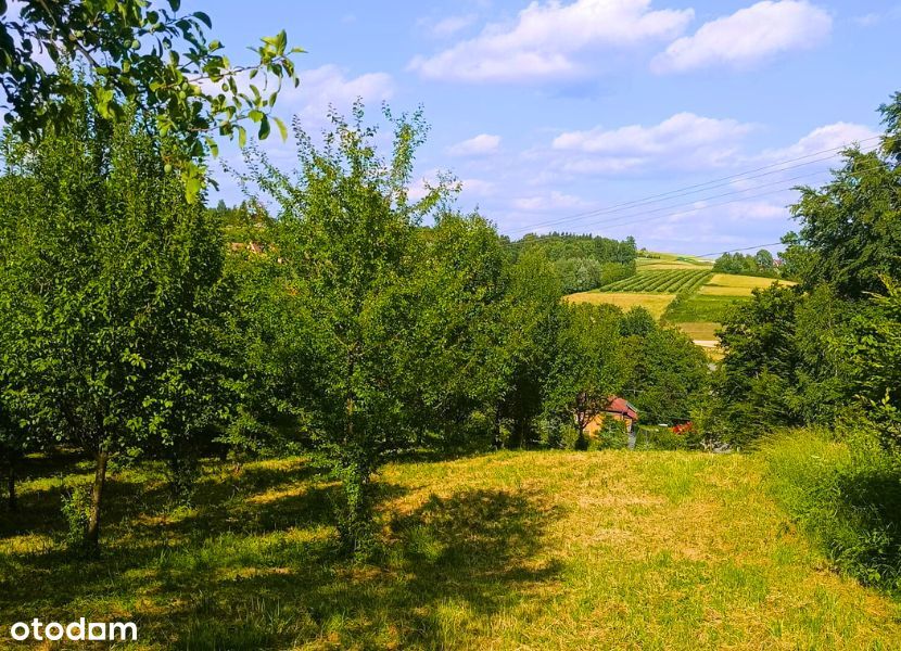 Unikatowa posiadłość 1,2 ha z lasem i potencjałem - godzina od Krakowa