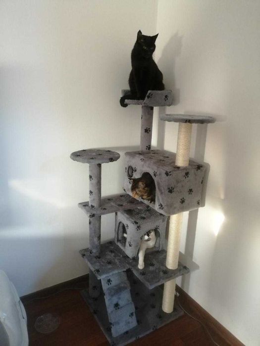 drapak dla kota wysoki 170 cm domek zabawki legowisko czarny - Nowy