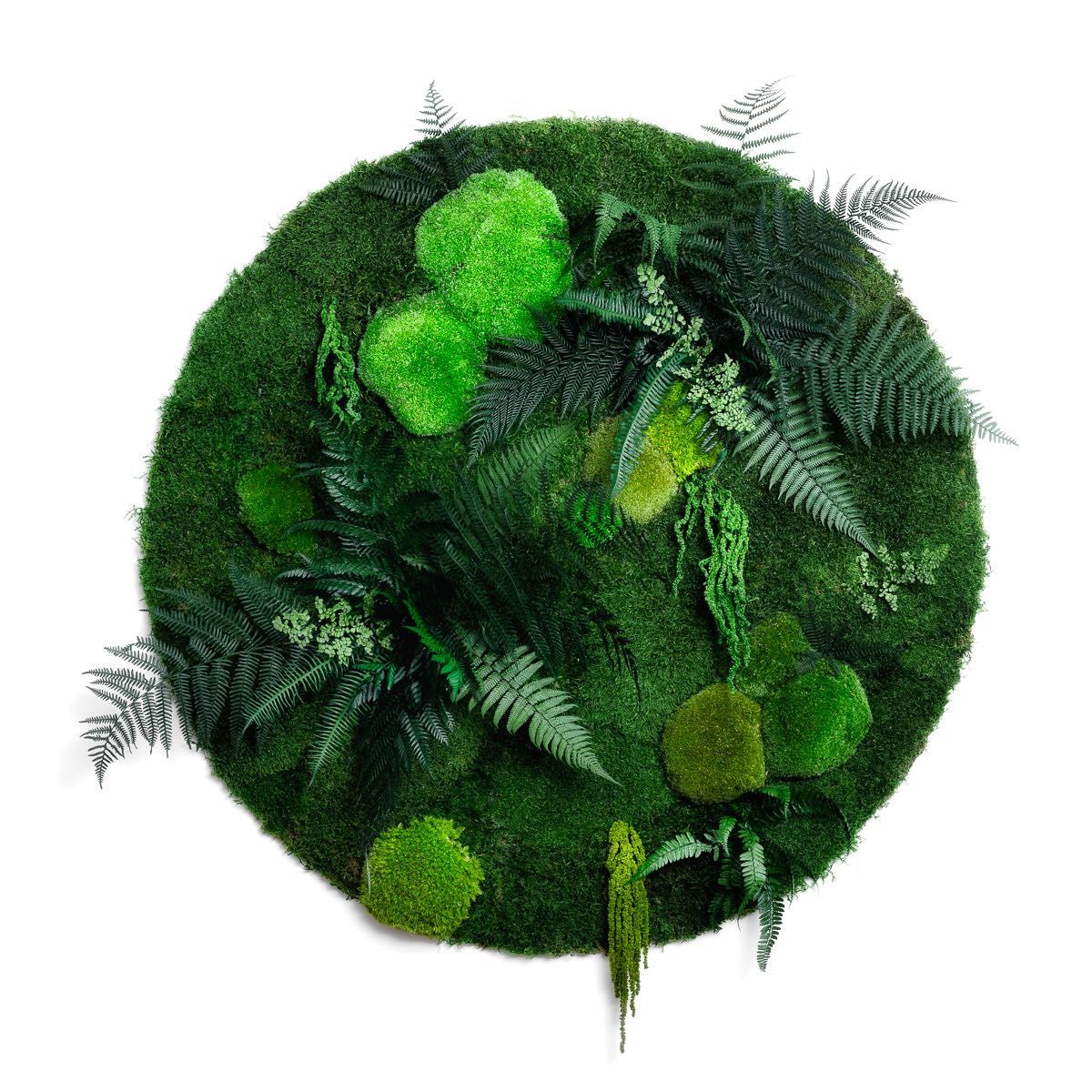 Leśny bukiet - kompozycja z mchów i roślin stabilizowanych obraz