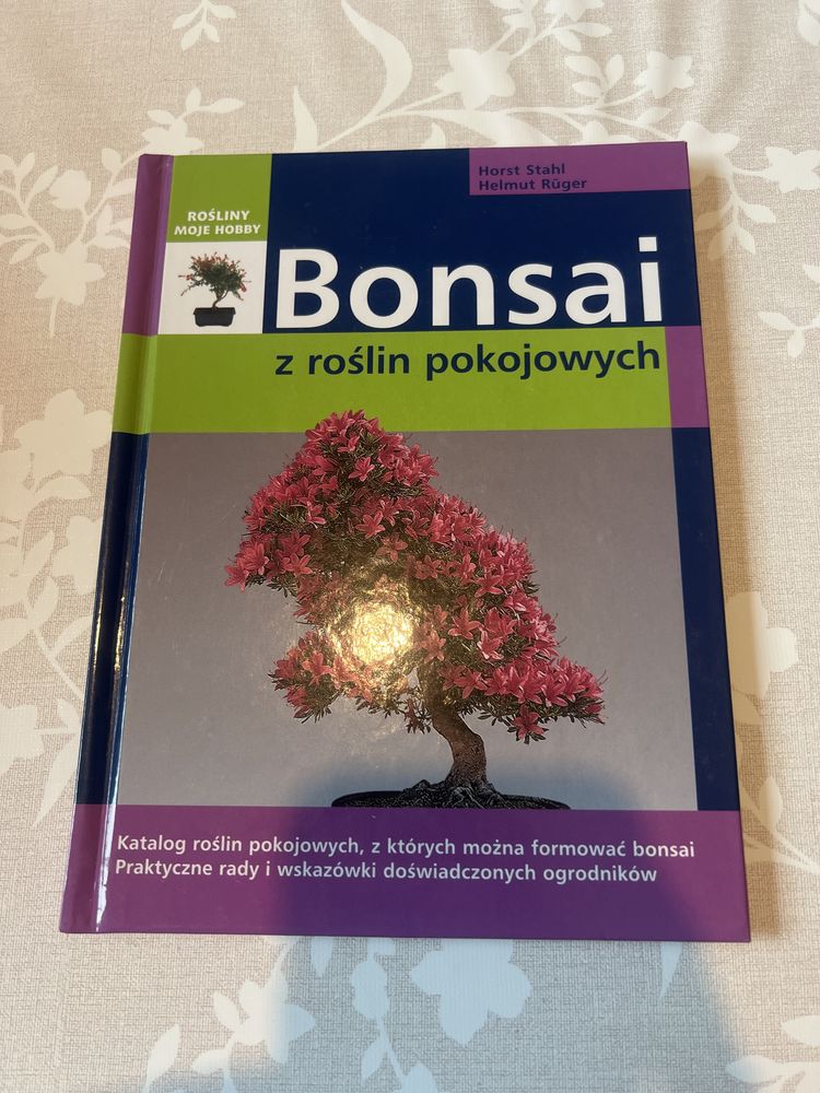 Bonsai z roslin pokojowych