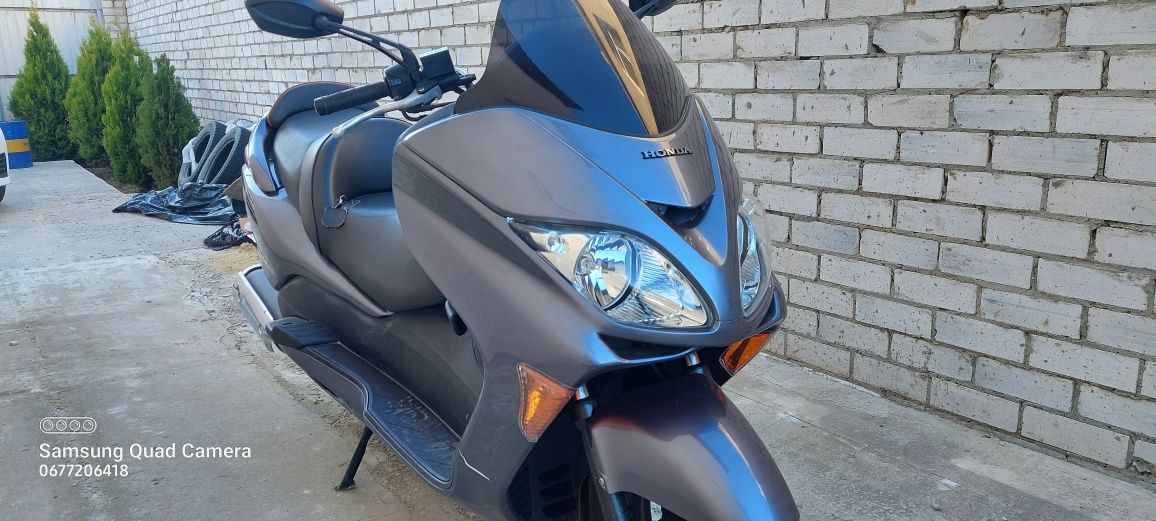 Продам Honda Forza MF08