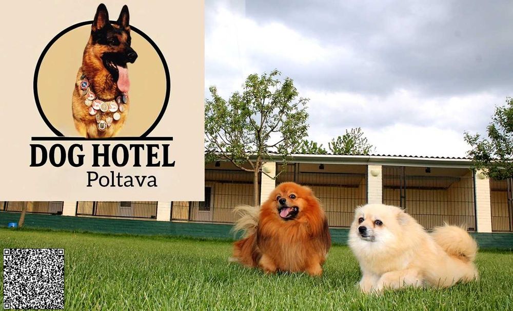Перетримка собак в Полтаві - Dog Hotel Poltava