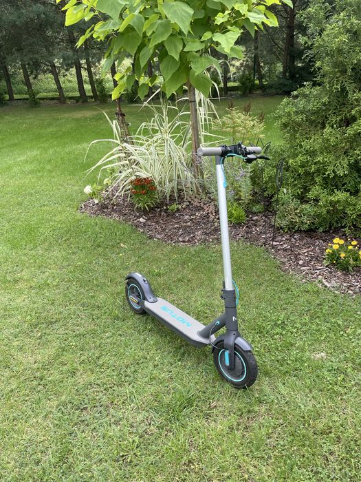 Hulajnoga Motus Scooty 10 lite