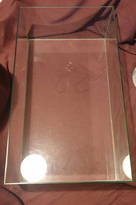 akwarium dla żółwia