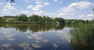 Продам земельный участок в с.Рокитне, центр, 21 сотка