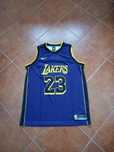 Nike NBA Lakers James M