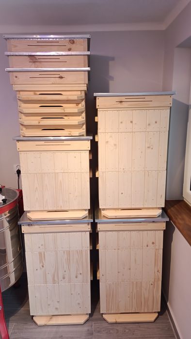 Ule wielkopolskie 10 ramek