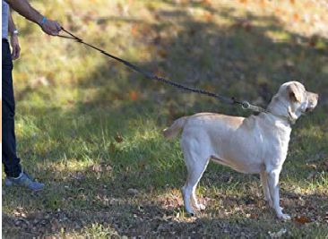 trela para cão mola super resistente ajustável